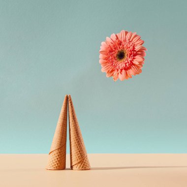 Uzaylı piramidi çöldeki bir yapı gibidir. Pembe Gerber papatya çiçeği güneşi. Yeşil gökyüzü ve bej rengi kum arka plan. Meta-evren ve birleşme bileşimi.