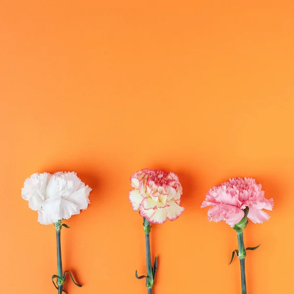 Trzy Kwiaty Goździka Wzór Bogatym Pomarańczowym Tle Prosty Skład Kwadratu — Zdjęcie stockowe