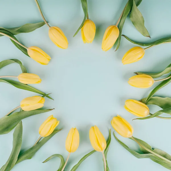 Żółte Kwiaty Tulipan Okrągły Wzór Jasnym Tle Mięty Prosta Kwadratowa — Zdjęcie stockowe
