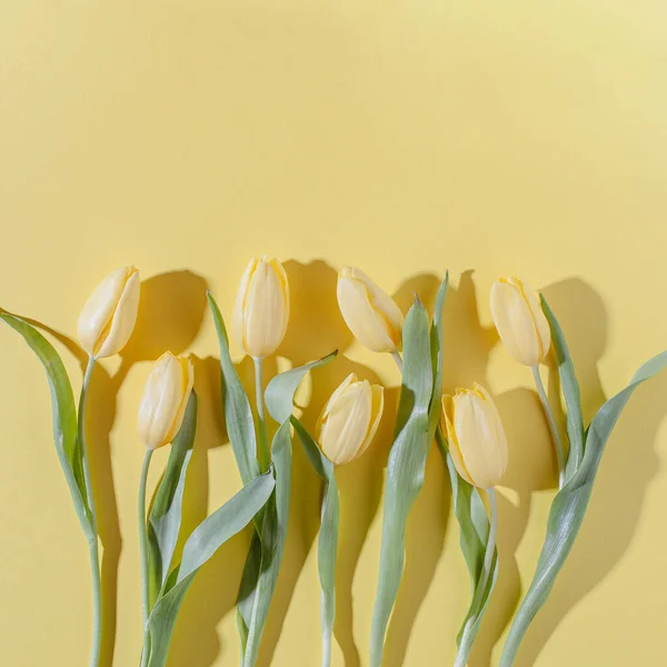Żółte Kwiaty Tulipan Wzór Jasnożółtym Tle Prosta Kwadratowa Kompozycja Płaska — Zdjęcie stockowe