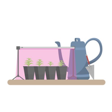 Evde bitki fideleri yetiştiriyorum. Tohumlar için phytolamp kullanılıyor. Uygun bitki ışıklandırması. Bahçe aletleri. Sulama tohumları için mavi sulama kutusu. Ekolojik bahçıvanlık ve bahçıvanlık. Beyaz üzerine. 