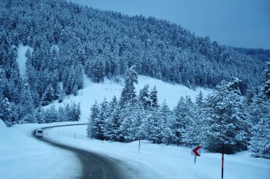 Kars 'ta Sarikamis Yolu