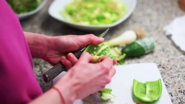 Salad with tomatoes, cucumbers, vegetables and green onions