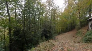 Abandoned cabin in the autumn woods.