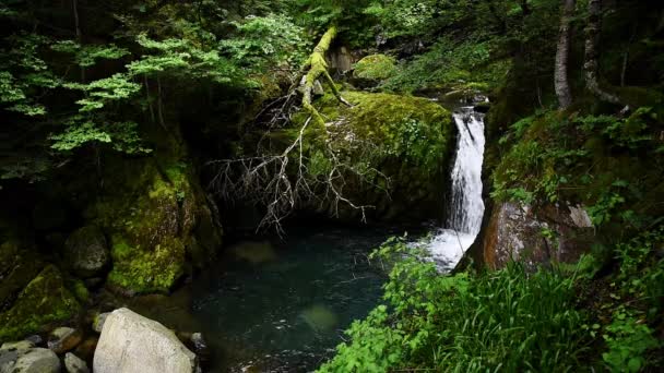Beautiful Waterfall Mountains Little Pond — Stockvideo