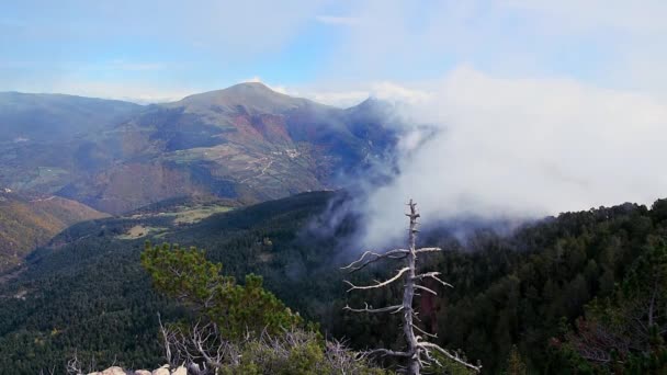 Misty Clouds Mountains Peak Taga Spain Pyrenees Mountains — Vídeo de Stock