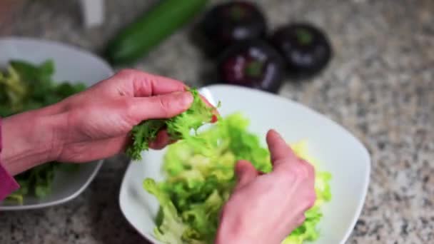 Preparation Fresh Green Letuce Salad — Vídeo de stock