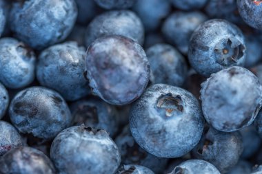 Lezzetli yaban mersinli yakın çekim.