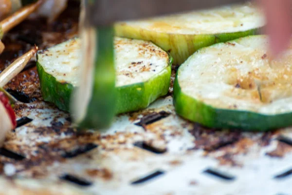 Kycklingbröst Och Fläskkött Träspett Med Färska Färgglada Och Välsmakande Grönsaker — Stockfoto