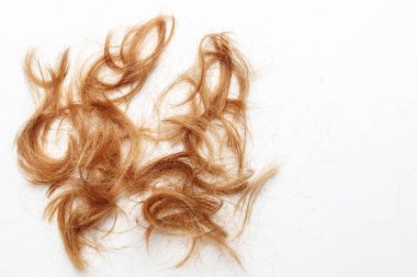 Very disheveled black hair isolated on white background. Bad hair day clipart. Back view