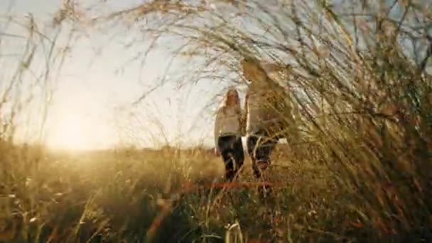 Par njuter av varandra i ett fält vid solnedgången — Stockvideo
