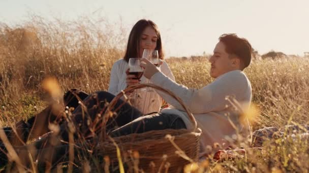 Pár piknik s červeným vínem při západu slunce na poli — Stock video