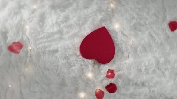 Corazón rojo con la caída de pétalos rojos en la alfombra blanca — Vídeos de Stock