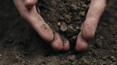 Eller kuru toprağı elliyor. Kuraklık kavramı.