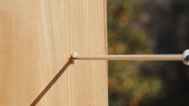 Cierre de tornillo de tornillo de taladro en madera — Vídeos de Stock
