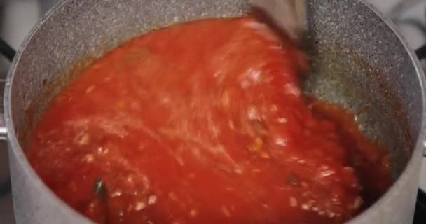 Close up of preparation of bolognese sauce — Stock Video