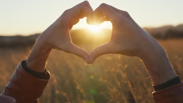 Close-up van handen in hartvorm bij zonsondergang — Stockvideo