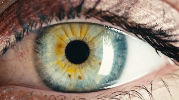 Закрыть потрясающие женские голубые глаза — стоковое видео