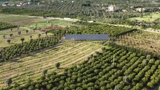 Paneles solares en el campo — Vídeo de stock