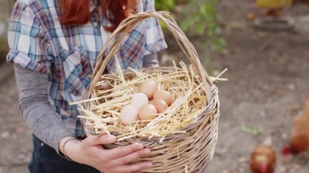 Basket of fresh chicken eggs — Vídeo de stock