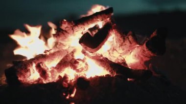 Kumsalda kamp ateşi yakın. 