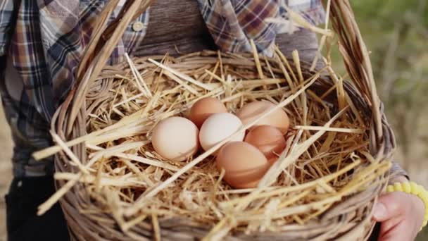 Ovos de galinha frescos na cesta — Vídeo de Stock
