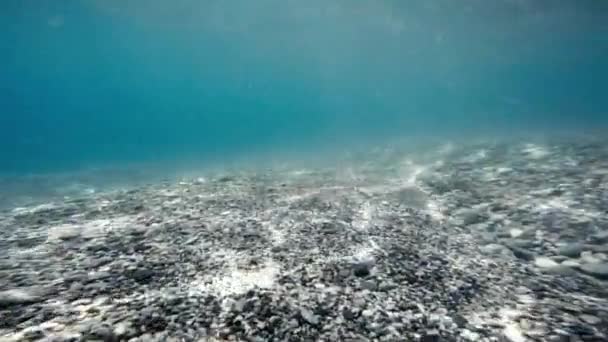 Fantastisk Undervattensutsikt över havet — Stockvideo