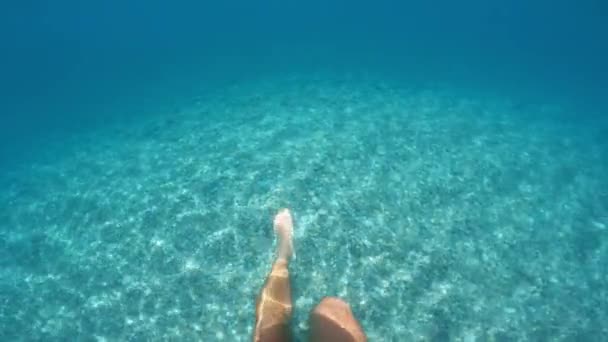 Selfie Snorkling Och Gratis Dykning Vatten — Stockvideo