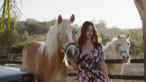Close Beautiful Girl Horse — Stock Video