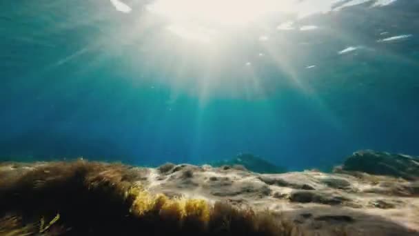 Skalnaté Mořské Dno Pod Oceánem — Stock video