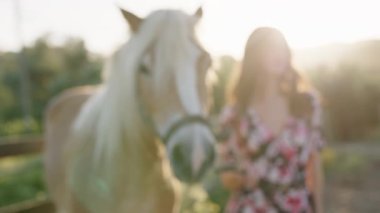 Kahverengi Atı olan güzel bir kadına yaklaş. 