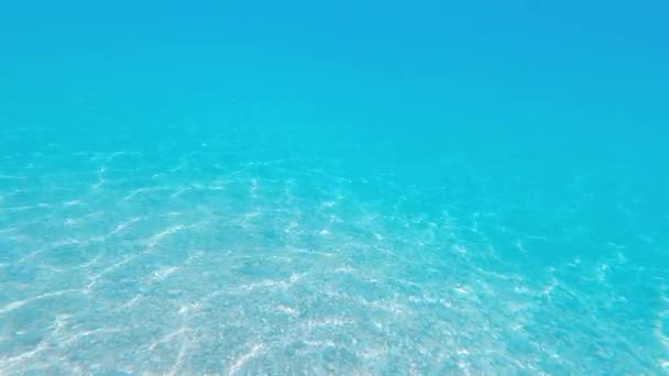 Ohromující Podvodní Pohled Oceán — Stock video