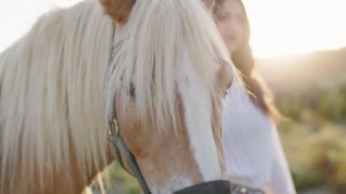 Kahverengi atı olan bir kıza yaklaş. 