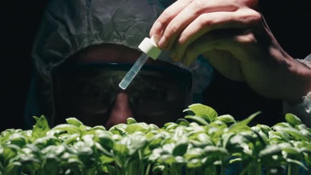 Primer Plano Del Biólogo Está Dejando Caer Química Líquida Las — Vídeo de stock