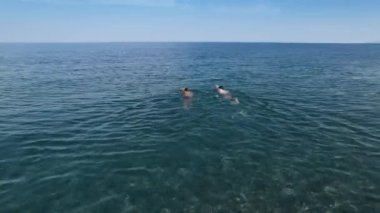 Okyanusta yüzen bir çocuğun havadan çekilmiş fotoğrafı.