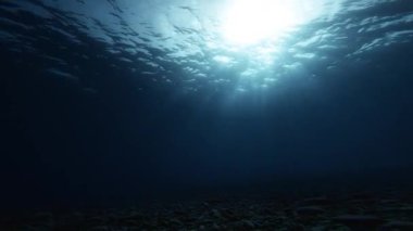 Ay ışığında deniz derinlikleri. 