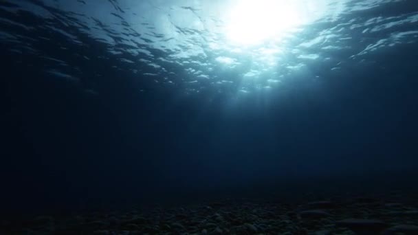Морские Глубины Лунном Свете — стоковое видео