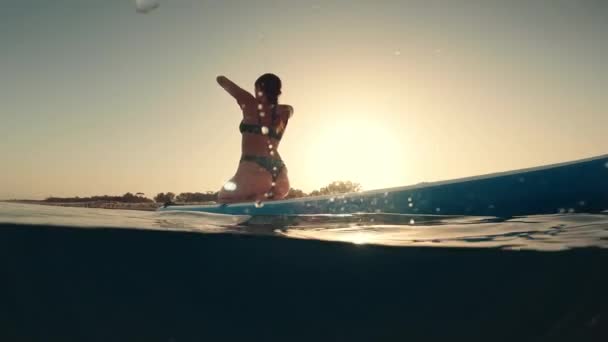 Mujer Bikini Hace Ejercicios Peso Corporal Una Tabla Sup Paddle — Vídeos de Stock