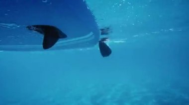 Su altından kürek çekmeyi kapat 