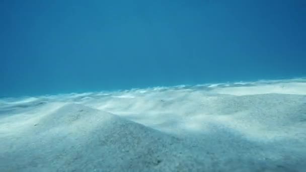 Close Sandy Ocean Floor — Stok video