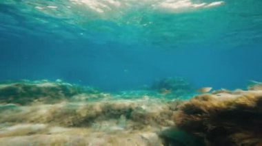 Okyanustaki su altı uçurumu 