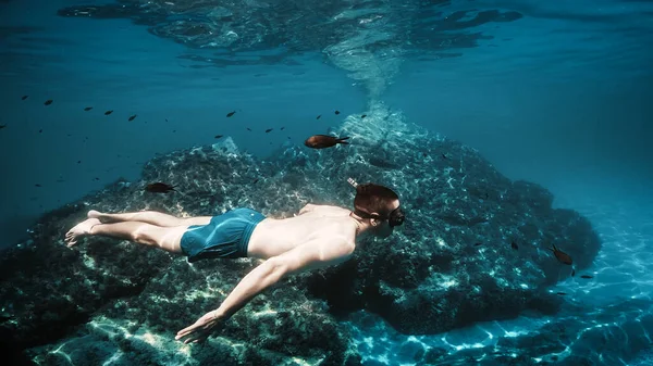 Suyun altında yüzmek Balıkların arasında.