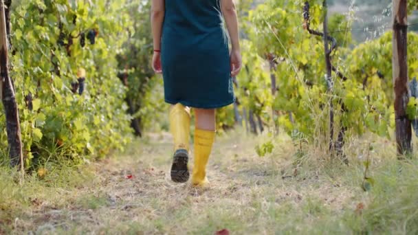 Girl Yellow Boots Walks Vineyard — Vídeos de Stock