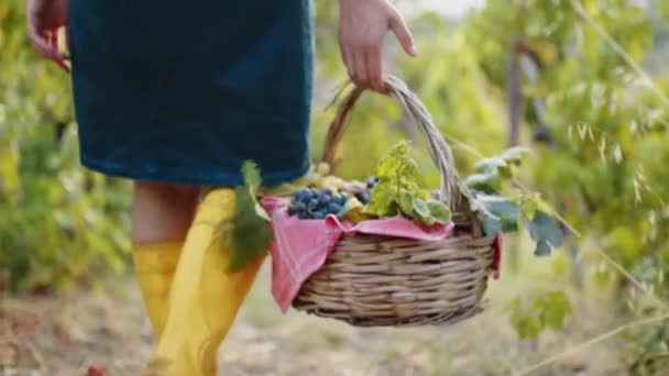 Girl Walks Yellow Boots Basket Red Grapes — Vídeos de Stock