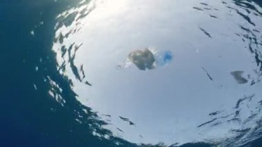 Close up of plastic waste floating in the ocean