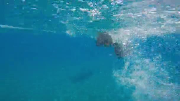 Diving Underwater Long Fins — Vídeo de Stock
