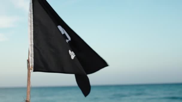 Close Pirates Flag Beach — Stock Video