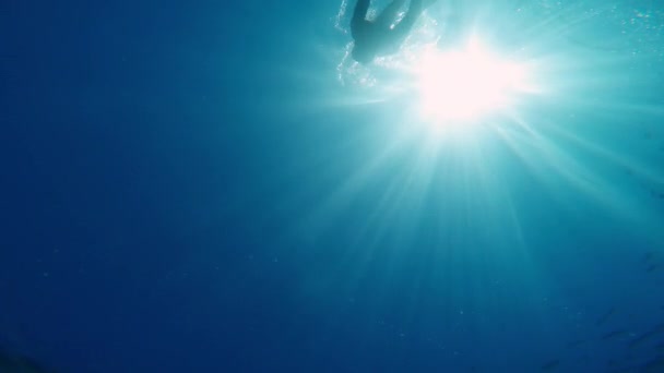 Diving Underwater Long Fins — Vídeos de Stock