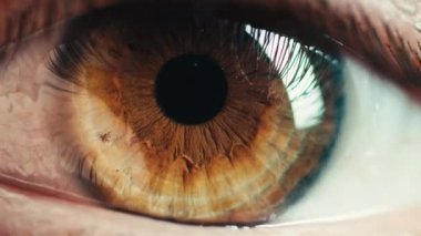 Kahverengi gözlü makro shot. 