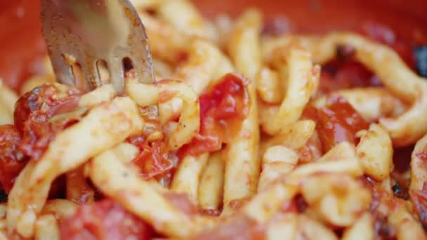 Κοντινό Πλάνο Σπιτικών Ζυμαρικών Ιταλική Σάλτσα Ντομάτας — Αρχείο Βίντεο